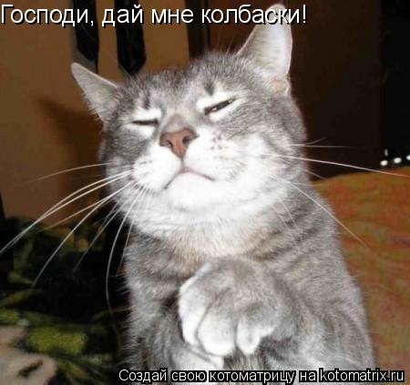 Котоматрица: Господи, дай мне колбаски!