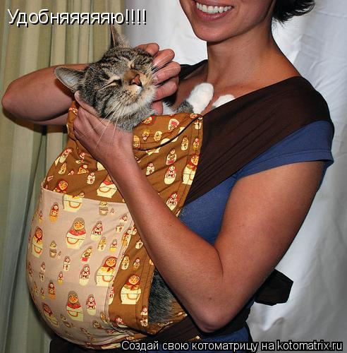 Котоматрица: Удобняяяяяю!!!!