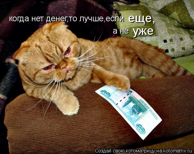 когда нет денег,то лучше,если еще, а не уже... Котоматрица: когда нет денег,то лучше,если еще, а не уже