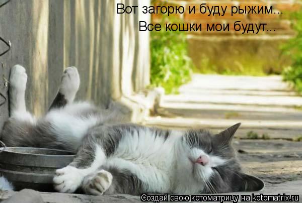 Котоматрица: Вот загорю и буду рыжим... Все кошки мои будут...