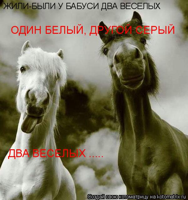 Котоматрица: ЖИЛИ-БЫЛИ У БАБУСИ ДВА ВЕСЕЛЫХ ОДИН БЕЛЫЙ, ДРУГОЙ СЕРЫЙ ДВА ВЕСЕЛЫХ .....