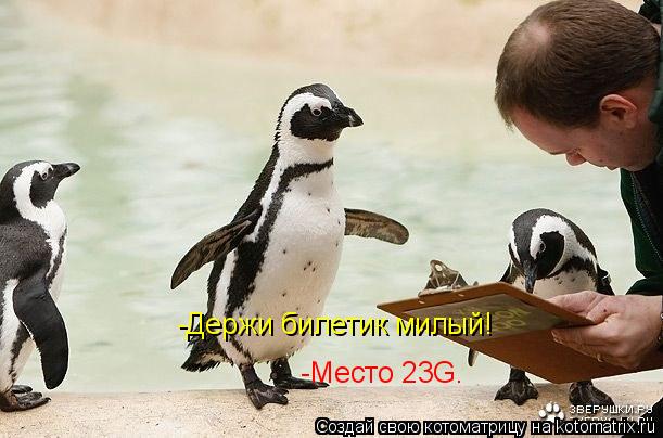 -Держи билетик милый! -Место 23G.... Котоматрица: -Держи билетик милый! -Место 23G.