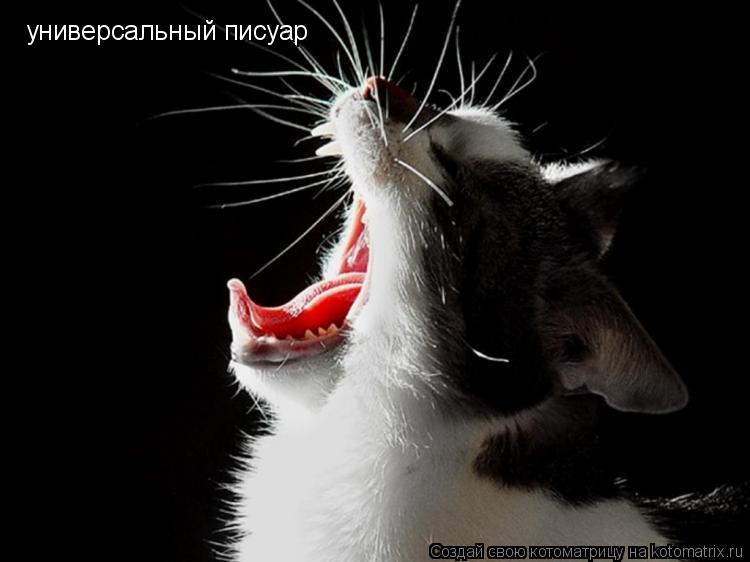 универсальный писуар универсальный писуар... Котоматрица: универсальный писуар универсальный писуар