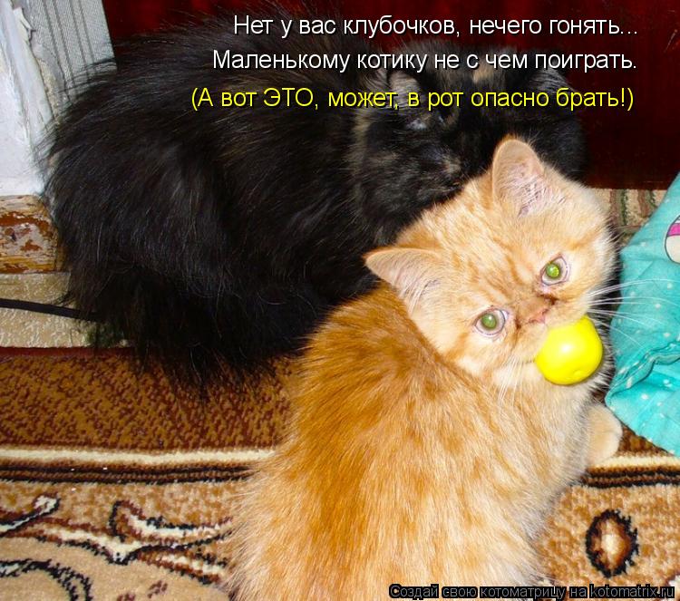 Котоматрица: Нет у вас клубочков, нечего гонять... Маленькому котику не с чем поиграть. (А вот ЭТО, может, в рот опасно брать!)
