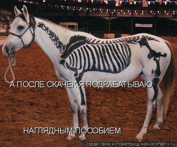 Котоматрица: А ПОСЛЕ СКАЧЕК Я ПОДРАБАТЫВАЮ  НАГЛЯДНЫМ ПОСОБИЕМ
