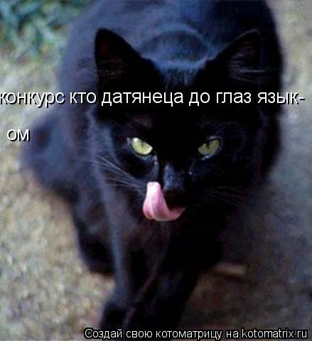 конкурс кто датянеца до глаз язык- ом... Котоматрица: конкурс кто датянеца до глаз язык- ом