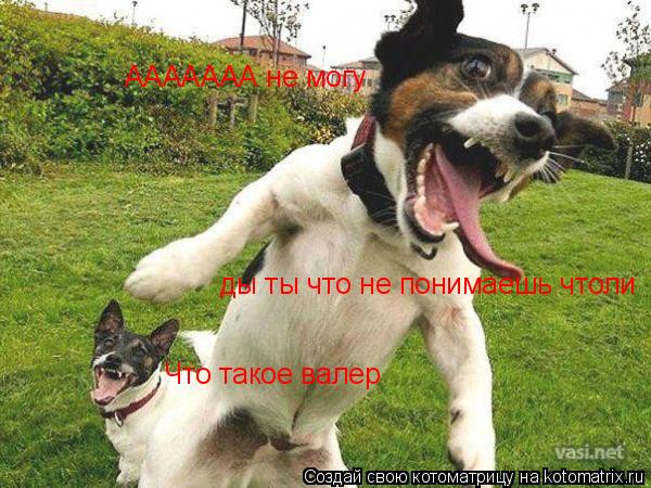 Что такое валер ААААААА не могу ды ты что не понимаешь чтоли... Котоматрица: Что такое валер ААААААА не могу ды ты что не понимаешь чтоли
