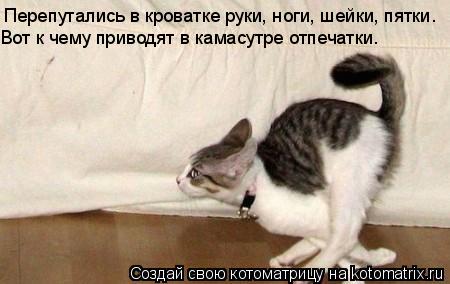 Котоматрица: Перепутались в кроватке руки, ноги, шейки, пятки. Вот к чему приводят в камасутре отпечатки.