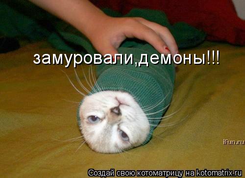 замуровали,демоны!!!... Котоматрица: замуровали,демоны!!!
