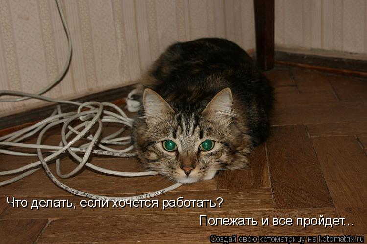 Что делать, если хочется работать? Полежать и все пройдет...... Котоматрица: Что делать, если хочется работать? Полежать и все пройдет...