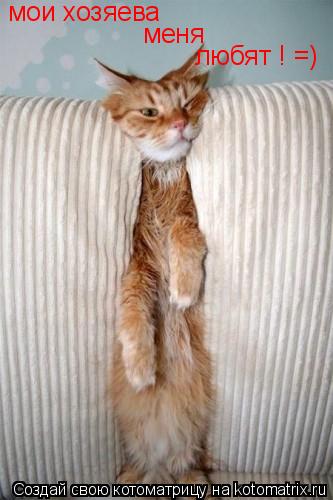 мои хозяева меня любят ! =)... Котоматрица: мои хозяева меня любят ! =)