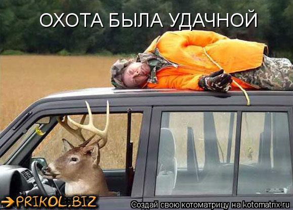 Котоматрица: ОХОТА БЫЛА УДАЧНОЙ