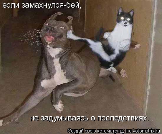если замахнулся-бей, не задумываясь о последствиях...... Котоматрица: если замахнулся-бей, не задумываясь о последствиях...