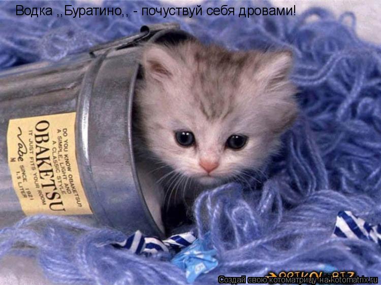 Котоматрица: Водка ,,Буратино,, - почуствуй себя дровами!