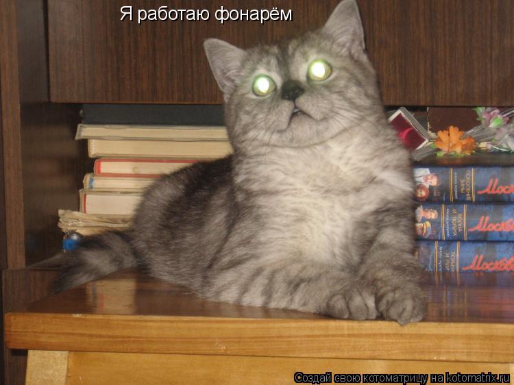 Я работаю фонарём... Котоматрица: Я работаю фонарём