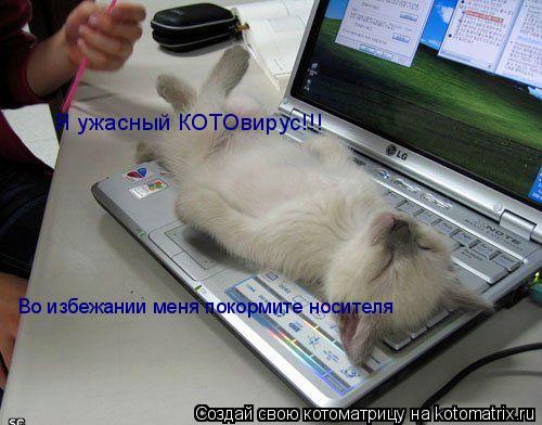 Я ужасный КОТОвирус!!! Во избежании меня покормите носителя... Котоматрица: Я ужасный КОТОвирус!!! Во избежании меня покормите носителя