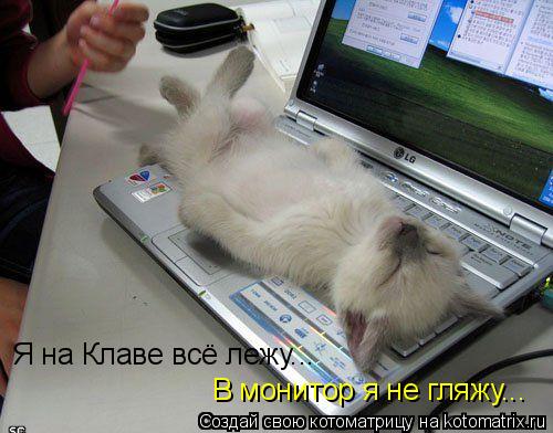 В монитор я не гляжу... Я на Клаве всё лежу...... Котоматрица: В монитор я не гляжу... Я на Клаве всё лежу...