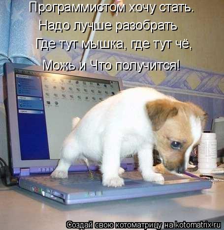 Программистом хочу стать. Надо лучше разобрать Можь и Что получится! Где тут мышка, где тут чё,... Котоматрица: Программистом хочу стать. Надо лучше разобрать Можь и Что получится! Где тут мышка, где тут чё,