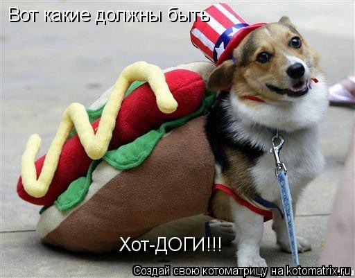 Вот какие должны быть Хот-ДОГИ!!!... Котоматрица: Вот какие должны быть Хот-ДОГИ!!!