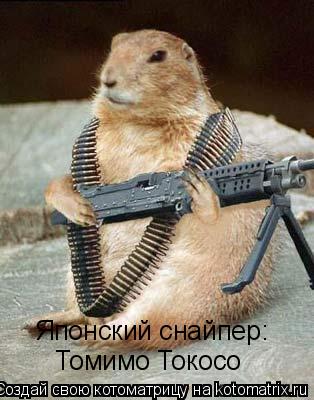 Японский снайпер: Томимо Токосо... Котоматрица: Японский снайпер: Томимо Токосо