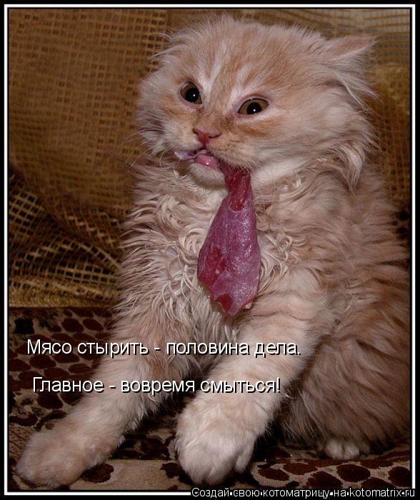 Мясо стырить - половина дела. Главное - вовремя смыться!... Котоматрица: Мясо стырить - половина дела. Главное - вовремя смыться!