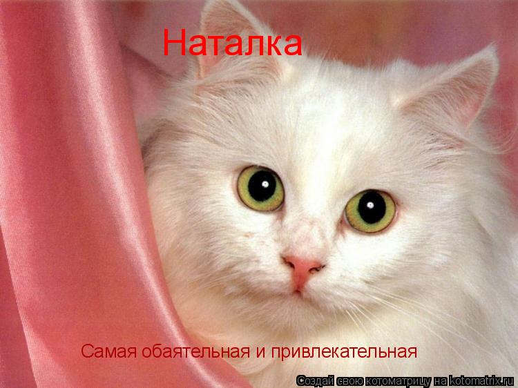 Наталка Самая обаятельная и привлекательная... Котоматрица: Наталка Самая обаятельная и привлекательная