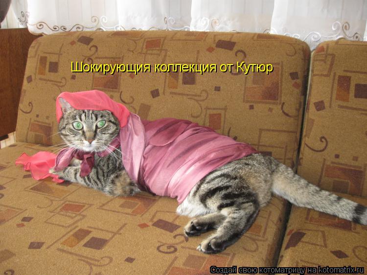 Шокирующия коллекция от Кутюр... Котоматрица: Шокирующия коллекция от Кутюр