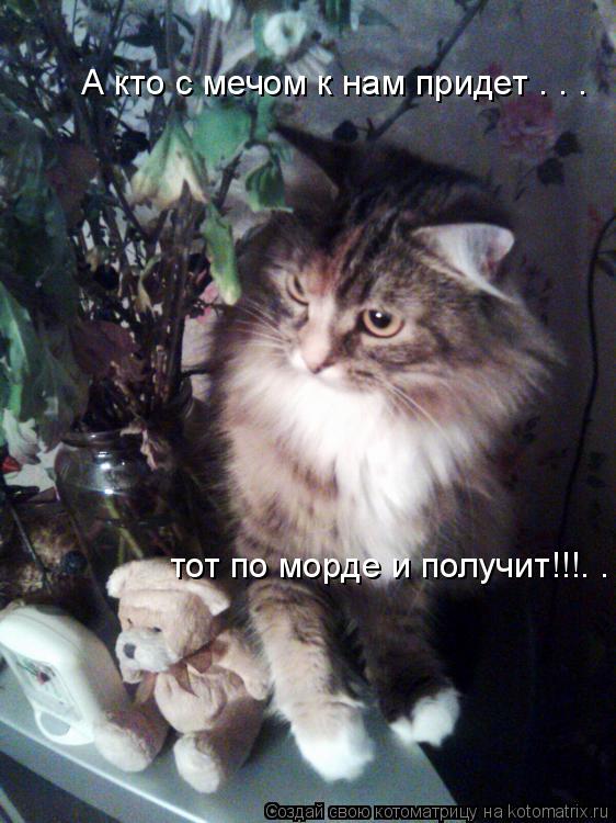 А кто с мечом к нам придет . . . тот по морде и получит!!!. . .... Котоматрица: А кто с мечом к нам придет . . . тот по морде и получит!!!. . .