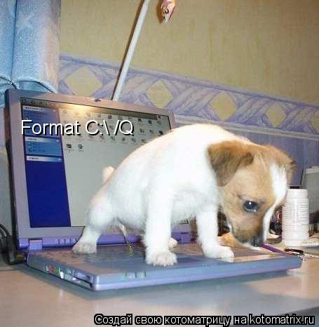 Format C: /Q... Котоматрица: Format C: /Q