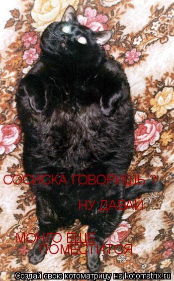 СОСИСКА ГОВОРИШЬ ? НУ ДАВАЙ МОНГО ЕЩЕ ПОМЕСТИТСЯ... Котоматрица: СОСИСКА ГОВОРИШЬ ? НУ ДАВАЙ МОНГО ЕЩЕ ПОМЕСТИТСЯ