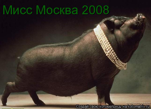 Мисс Москва 2008... Котоматрица: Мисс Москва 2008