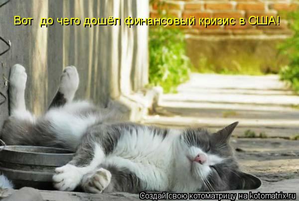 Вот до чего дошёл финансовый кризис в США!... Котоматрица: Вот до чего дошёл финансовый кризис в США!