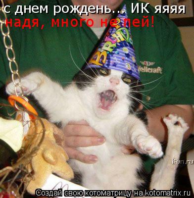 Котоматрица: с днем рождень... ИК яяяя надя, много не пей!