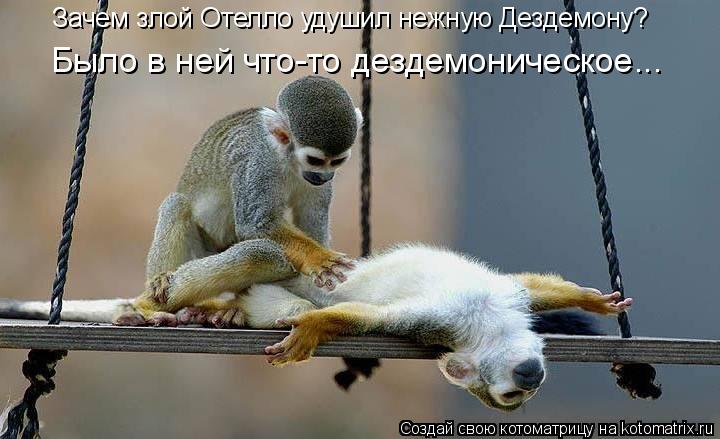 Зачем злой Отелло удушил нежную Дездемону? Было в ней что-то дездемоническое...... Котоматрица: Зачем злой Отелло удушил нежную Дездемону? Было в ней что-то дездемоническое...