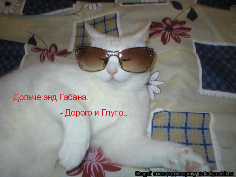 Дольче энд Габана... - Дорого и Глупо...... Котоматрица: Дольче энд Габана... - Дорого и Глупо...
