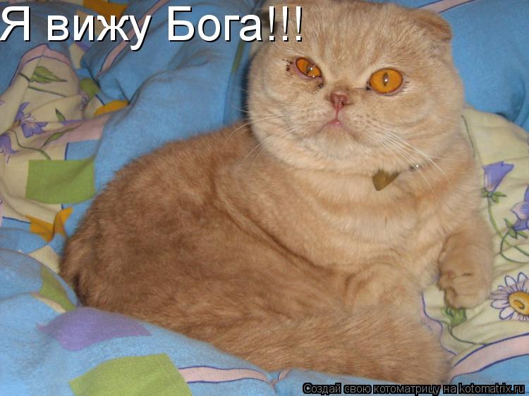 Котоматрица: Я вижу Бога!!!