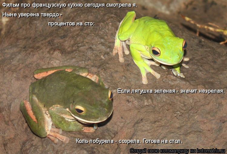 Котоматрица: Фильм про французскую кухню сегодня смотрела я. Ныне уверена твердо -  процентов на сто: Если лягушка зеленая - значит незрелая. Коль побурел