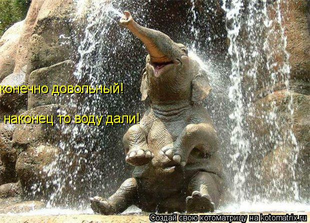 конечно довольный! наконец то воду дали!... Котоматрица: конечно довольный! наконец то воду дали!