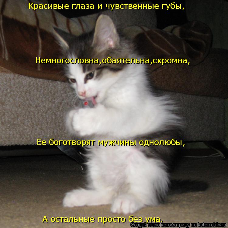 Красивые глаза и чувственные губы, А остальные просто без ума. Немногословна,обаятельна,скромна, Ее б... Котоматрица: Красивые глаза и чувственные губы, А остальные просто без ума. Немногословна,обаятельна,скромна, Ее боготворят мужчины однолюбы,