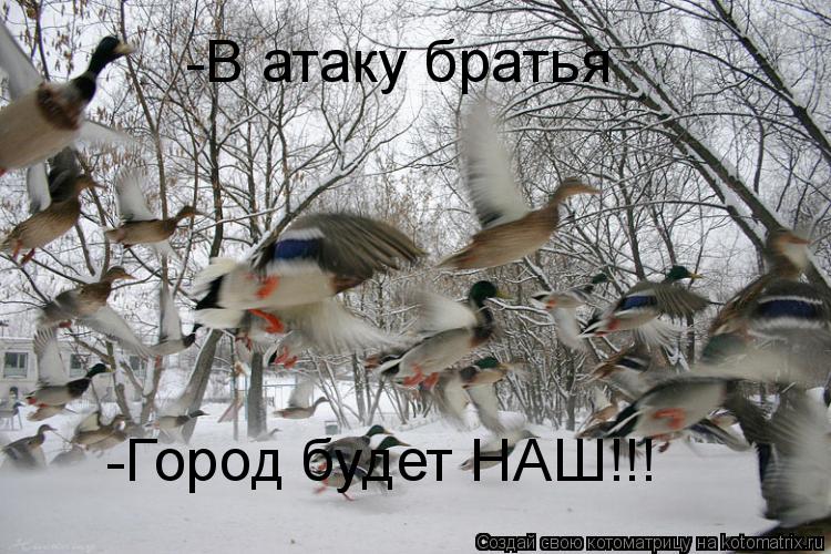 -В атаку братья -Город будет НАШ!!!... Котоматрица: -В атаку братья -Город будет НАШ!!!