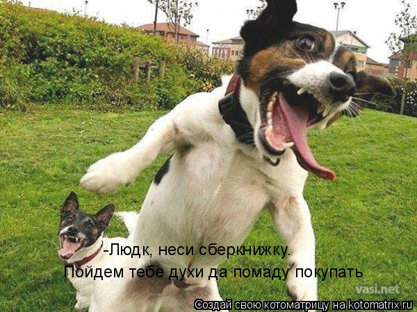 -Людк, неси сберкнижку. Пойдем тебе духи да помаду покупать... Котоматрица: -Людк, неси сберкнижку. Пойдем тебе духи да помаду покупать