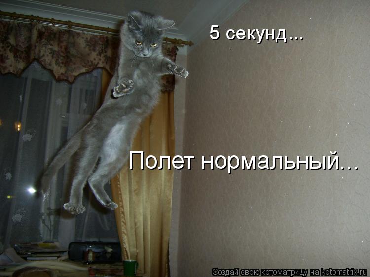 5 секунд... Полет нормальный...... Котоматрица: 5 секунд... Полет нормальный...