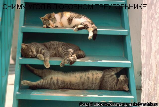 Котоматрица: СНИМУ УГОЛ В ЛЮБОВНОМ ТРЕУГОЛЬНИКЕ...