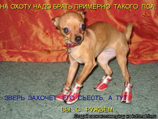 НА ОХОТУ НАДО БРАТЬ ПРИМЕРНО ТАКОГО ПСА: ЗВЕРЬ ЗАХОЧЕТ ЕГО СЬЕСТЬ, А ТУТ ВЫ С РУЖЬЕМ... Котоматрица: НА ОХОТУ НАДО БРАТЬ ПРИМЕРНО ТАКОГО ПСА: ЗВЕРЬ ЗАХОЧЕТ ЕГО СЬЕСТЬ, А ТУТ ВЫ С РУЖЬЕМ