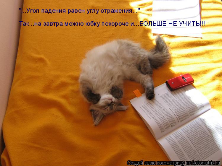 "...Угол падения равен углу отражения..." Так...на завтра можно юбку покороче и...БОЛЬШЕ НЕ УЧИТЬ!!!... Котоматрица: "...Угол падения равен углу отражения..." Так...на завтра можно юбку покороче и...БОЛЬШЕ НЕ УЧИТЬ!!!