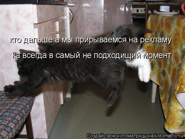 кто дальше а мы прирываемся на рекламу ка всегда в самый не подходищий момент... Котоматрица: кто дальше а мы прирываемся на рекламу ка всегда в самый не подходищий момент