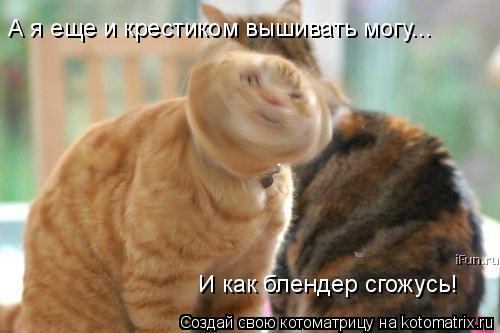 А я еще и крестиком вышивать могу... И как блендер сгожусь!... Котоматрица: А я еще и крестиком вышивать могу... И как блендер сгожусь!