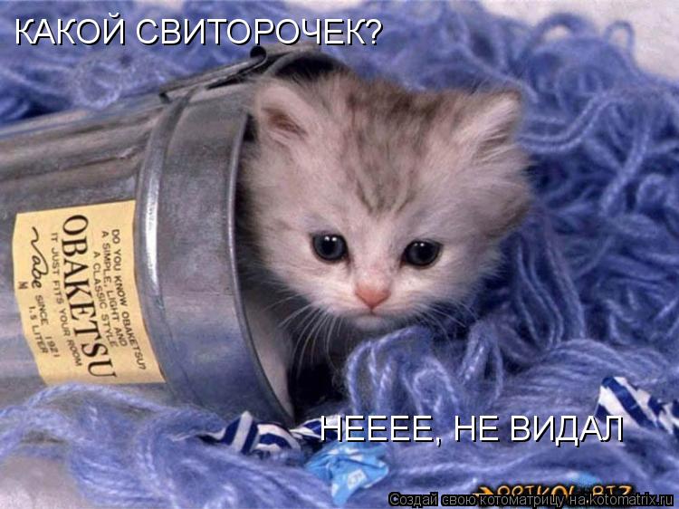 Котоматрица: КАКОЙ СВИТОРОЧЕК? НЕЕЕЕ, НЕ ВИДАЛ