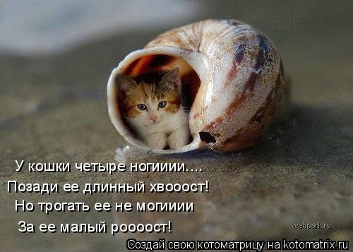 У кошки четыре ногииии.... Позади ее длинный хвооост! Но трогать ее не могииии За ее малый роооост!... Котоматрица: У кошки четыре ногииии.... Позади ее длинный хвооост! Но трогать ее не могииии За ее малый роооост!