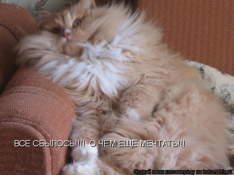 ВСЕ СБЫЛОСЬ!!!! О ЧЕМ ЕЩЕ МЕЧТАТЬ!!!... Котоматрица: ВСЕ СБЫЛОСЬ!!!! О ЧЕМ ЕЩЕ МЕЧТАТЬ!!!